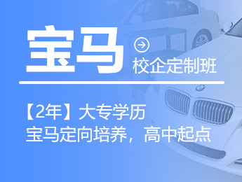 宝马定制版