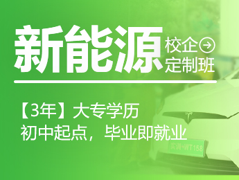 新能源定制版